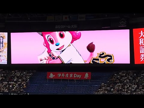 西川龍馬 選手 ｢DOBERMAN INFINITY  ずっと｣ 偶数打席 登場曲 オリックス･バファローズ 選手 ビジョン映像 PV 演出 @ 京セラドーム 2024 開幕戦