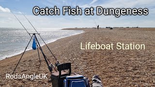 Catch Fish at Dungeness: LIFEBOAT STATION