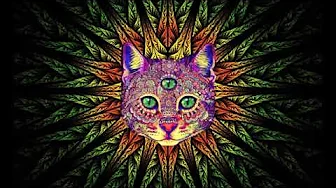 Best Rave-Party Songs Mix #1- PSY TRANCE, MINIMAL, GOA TRANCE, HEAVY BASS Best Rave-Party Songs Mix #1- PSY TRANCE, MINIMAL, GOA TRANCE, HEAVY BASS