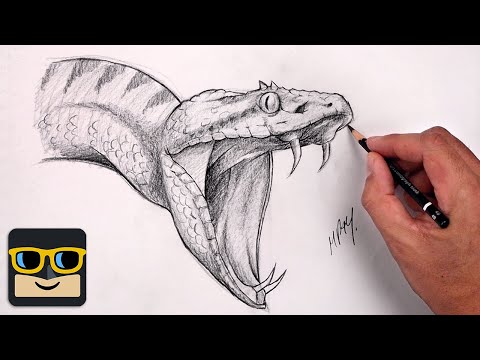 How To Draw A Snake | Reptile Sketch Tutorial