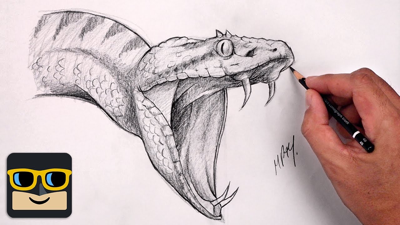 Premium Vector | Hand drawn sketch king cobra snake illustration