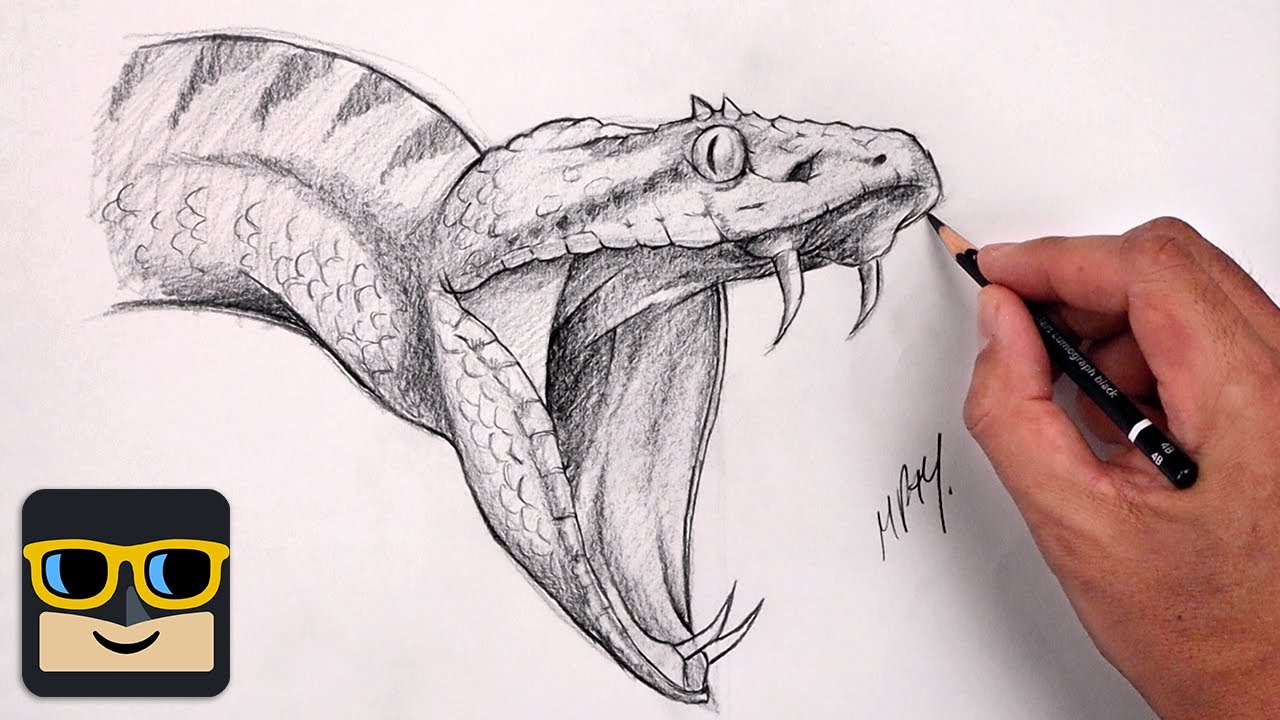 easy Snake Drawing Tutorial #arttutorial #howtodraw #animalart #pencil... |  TikTok