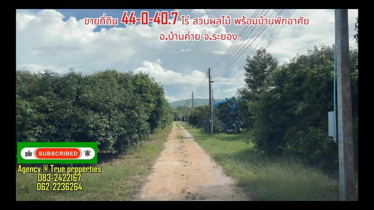 ขายที่ดินสวนผลไม้ พร้อมบ้านพักอาศัย อ.บ้านค่าย จ.ระยอง  44-0-40.7 ไร่