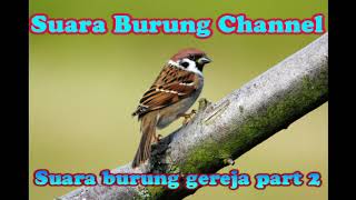 Suara burung Gereja part 2