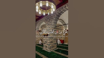 تلاوة رائعة من سورة الطارق | الشيخ علي صلاح عمر #القرآن_الكريم #quran #اكسبلور