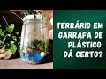 Pode fazer terrrio em pote de plstico