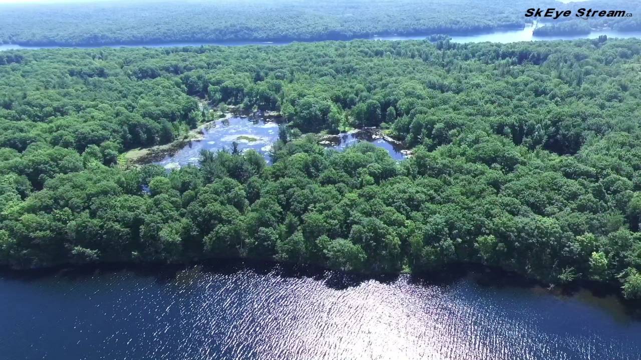 687 Miner Lake Lane South Frontenac, ON YouTube