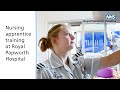 Registered nurse apprenticeships  nhs  royal papworth hospital