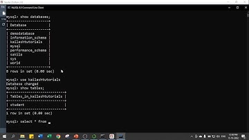 Access or Select Data to MySQL Table through Python Code | Python MySQL Connectivity | MySQL 05