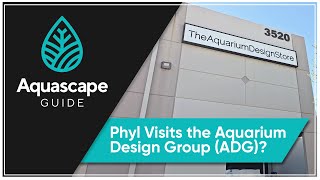 Aquascape Guide - Visiting The Aquarium Design Group Adg Houston, Texas