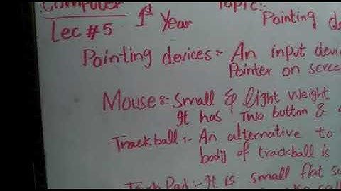 What are the Pointing Devices 1st Year Computer lec 4