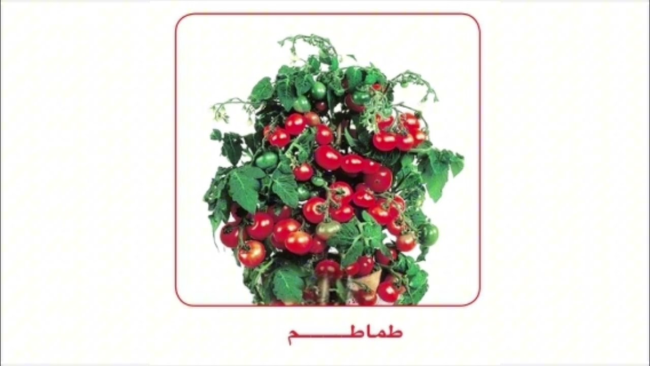 علوم خامس ابتدائي- الوحدة(٢) -الدرس(١)