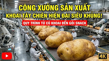 Bên Trong Nhà Máy Sản Xuất Khoai Tây Chiên Hiện Đại: Toàn Bộ Quy Trình Làm Snack
