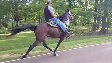 Speed Racking at its best