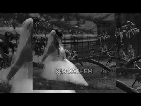 ونفضل نرقص مسرعة  