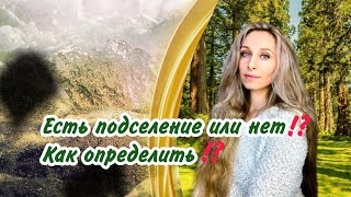 Есть подселение или нет⁉️ Как определить ⁉️