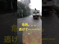 大雨で浸水　#shorts