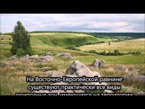 русская равнина
