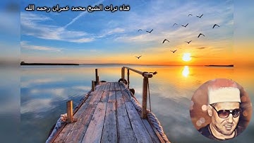 مقطع خاشع من سورة الأنبياء بصوت الشيخ محمد عمران