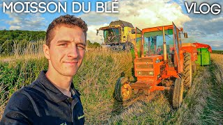 1 JOURNÉE COMPLETE A LA MOISSON DU BLÉ ! 2021