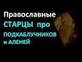 Православные старцы о Подкаблучниках и Аленях, как причине смерти на земле! МД