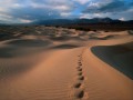 Footprints in the sand by leona lewis