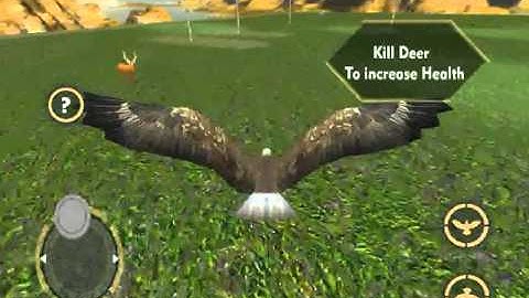 Wild Eagle Flight Simulator 3D Android/iOS Gameplay