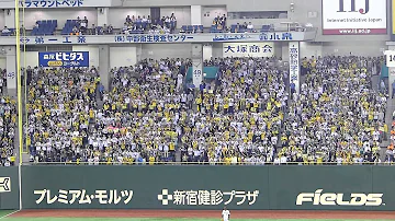 阪神応援風景 阪神応援風景
