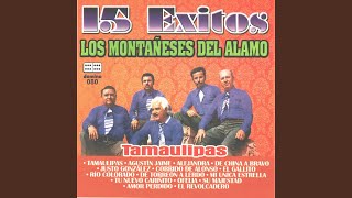 Video thumbnail of "Los Montañeses del Alamo - El Revolcadero"