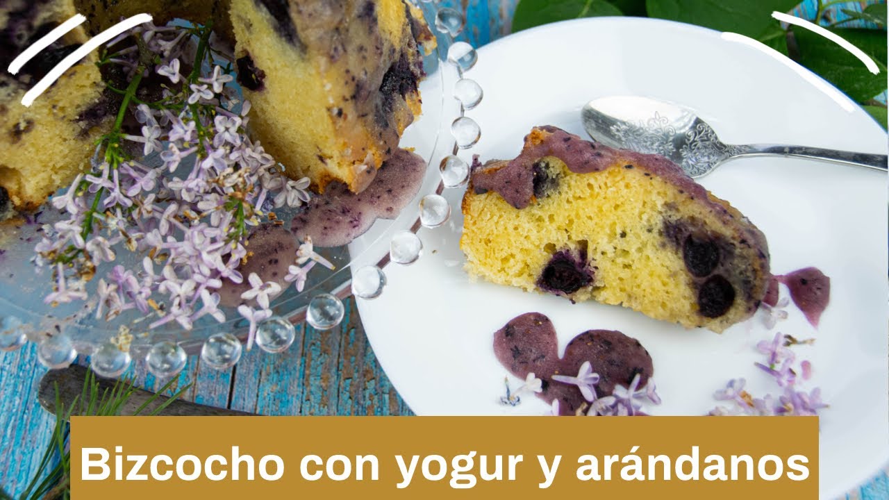 Gateau Au Yogourt Grec Aux Myrtilles Recettes Au Thermomix Thermorecipes