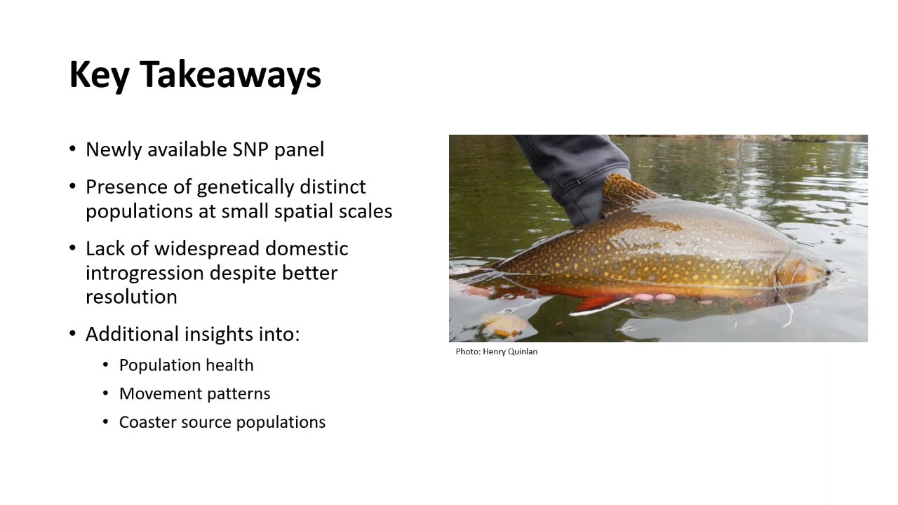 LSC 06 USFWS Coaster Brook Trout Genetics - YouTube