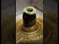 Happy Mahashivratri |#trending #shorts #shiv #puja #poojavlogsofficial