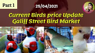 Current Exotic Bird Price Update||Galiff Street Bird Market Kolkata|||| Part 1