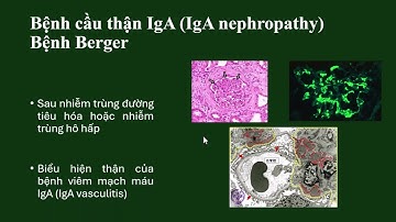 Bệnh lý cầu thận (Khánh Dương)