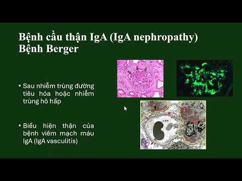 Bệnh lý cầu thận (Khánh Dương)