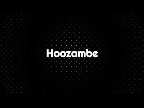 Hoozambe D Star Ft Mudra D Viral Lyrics Video 