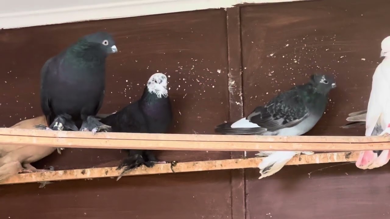 29 октября 2025 г.