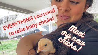 EVERYTHING YOU NEED TO RAISE BABY CHICKS! Introducing my 5 new baby chicks 🐣