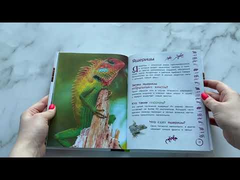 Животные. Большая детская энциклопедия Животные. Большая детская энциклопедия