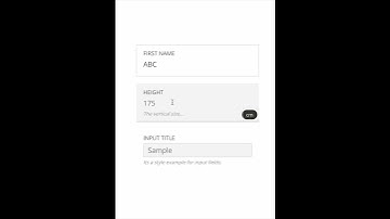 Input Field - JavaScript Component Example