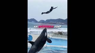 This Orca Left Everyone Speechless 