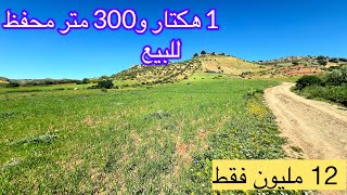 1 هكتار و 300 متر محفظ للبيع على بعد 1 klm من الطريق الرئيسي خنيفرة تمن البيع 12 مليون 
