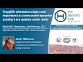 Odh072 propylitic alteration origins and importance for pcd exploration  jamie wilkinson