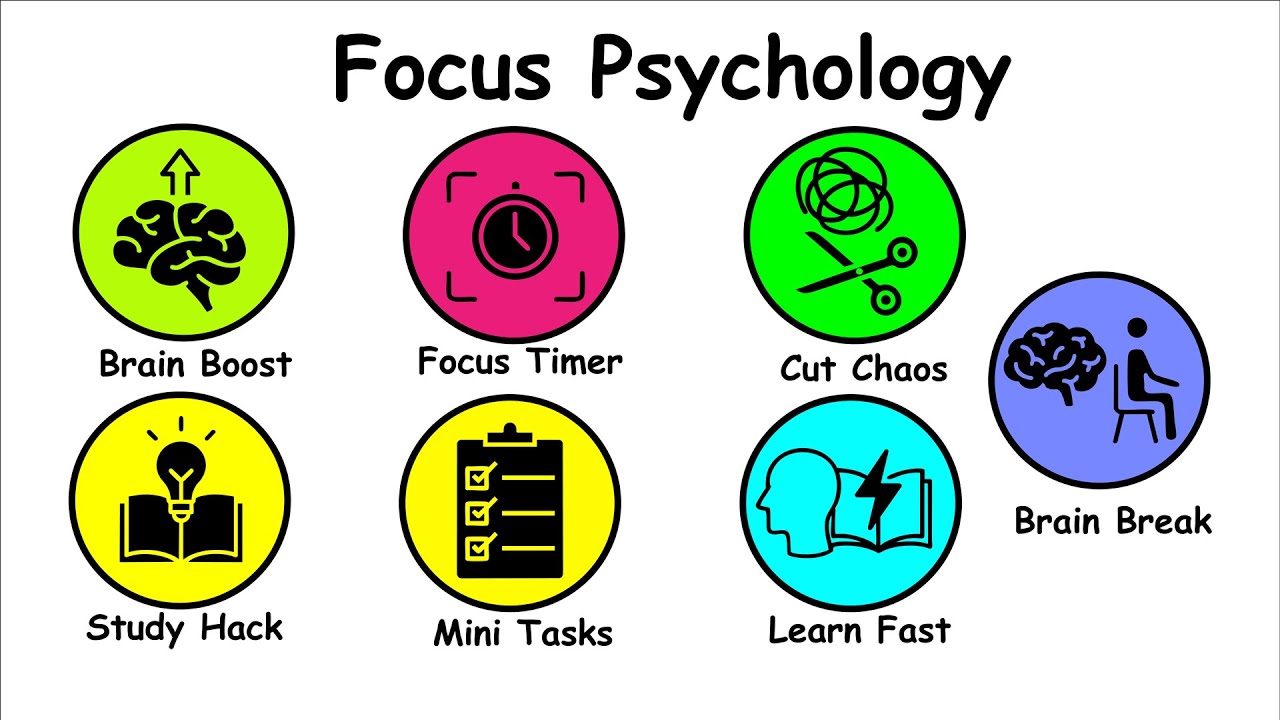 The Science of Focus: How to Study Without Getting Distracted - YouTube
