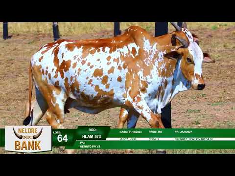 LOTE 64   HLAM 573   HLAM 820