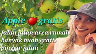 Jalan jalan area rumah banyak buah gratis