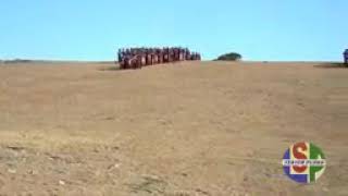 musika dansa timor nian