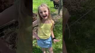 Download Lagu Going to Big Bone Lick park to see the bison!!!￼ MP3