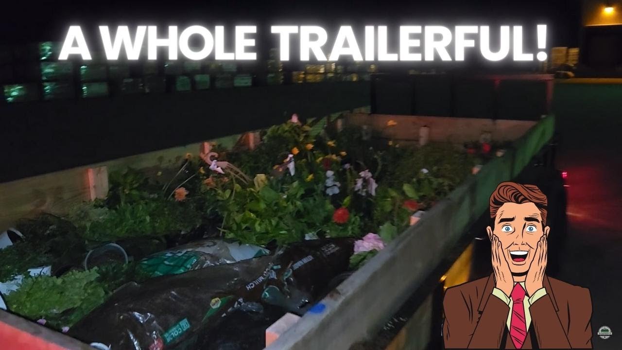 Dumpster Diving & filling up trailer!!! Hitting the free sections!!