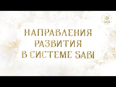 Направления Развития в Системе SABI